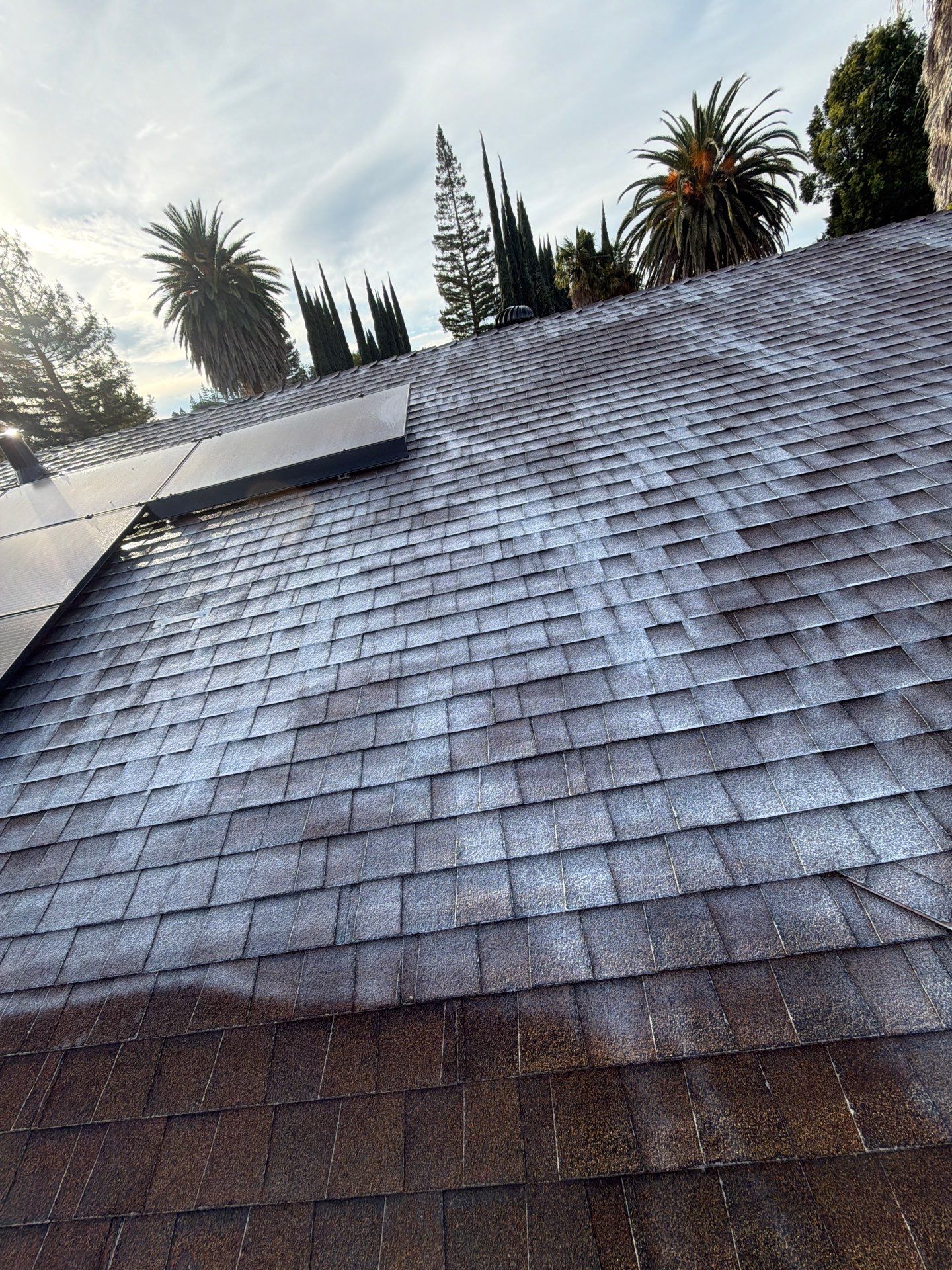 Roof Rejuvenation using Roof Maxx Treatment by Roof Maxx of Folsom