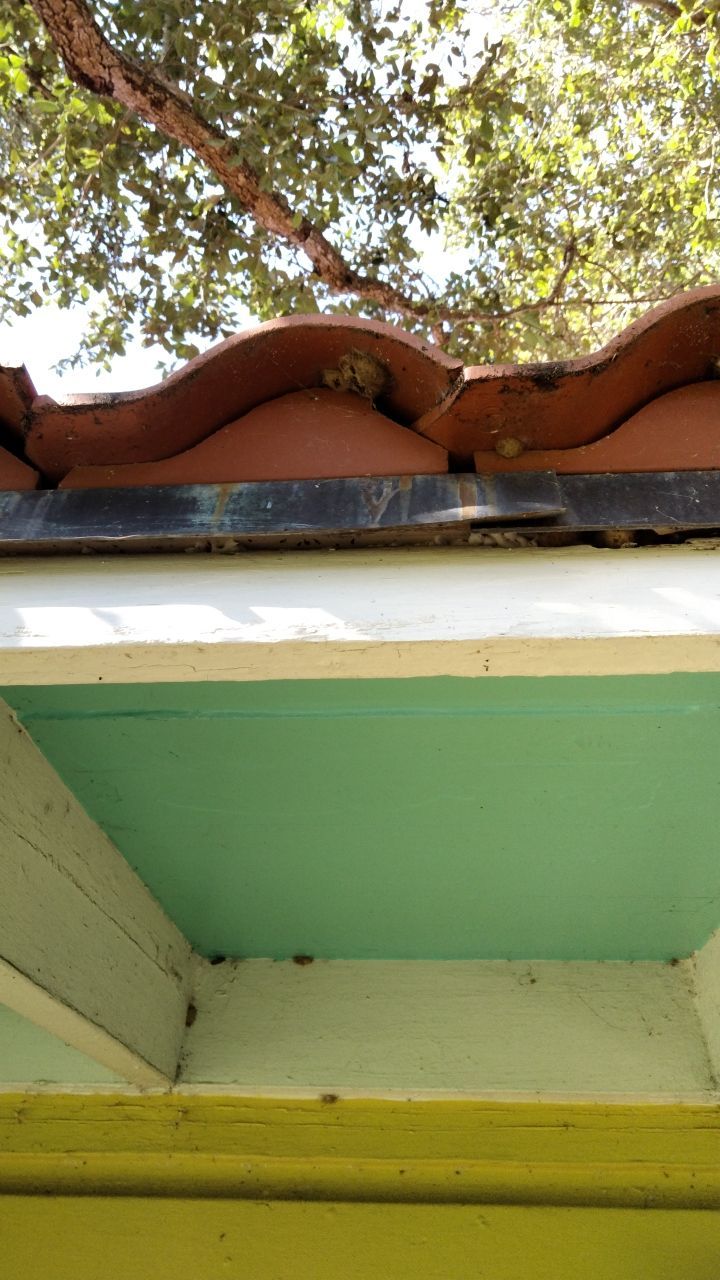 Tile off Bullet Proof on by Bayfront Roofing and Construction