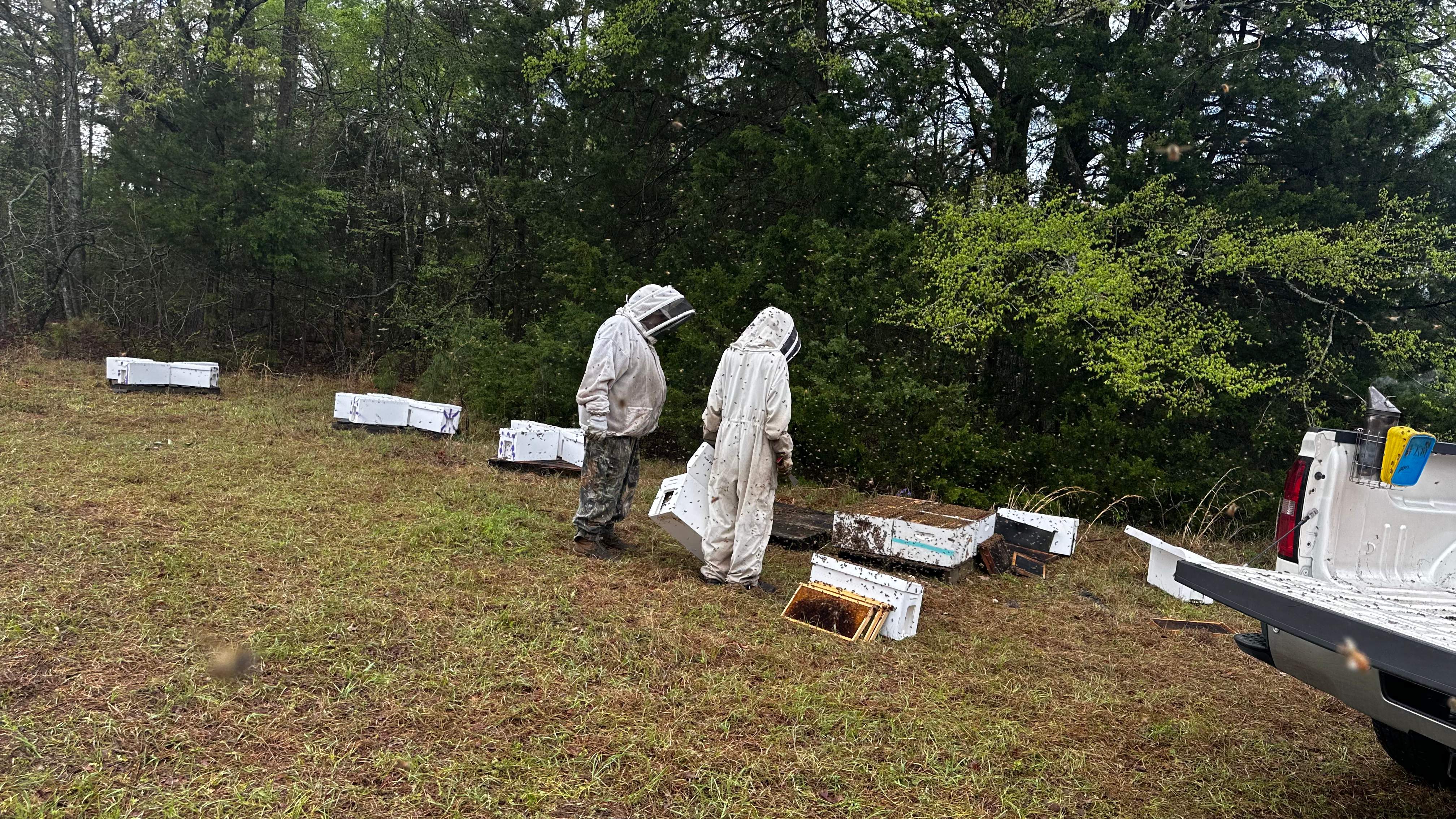 BeeGirl ETX HQ by Rockwall Honey Bee Company