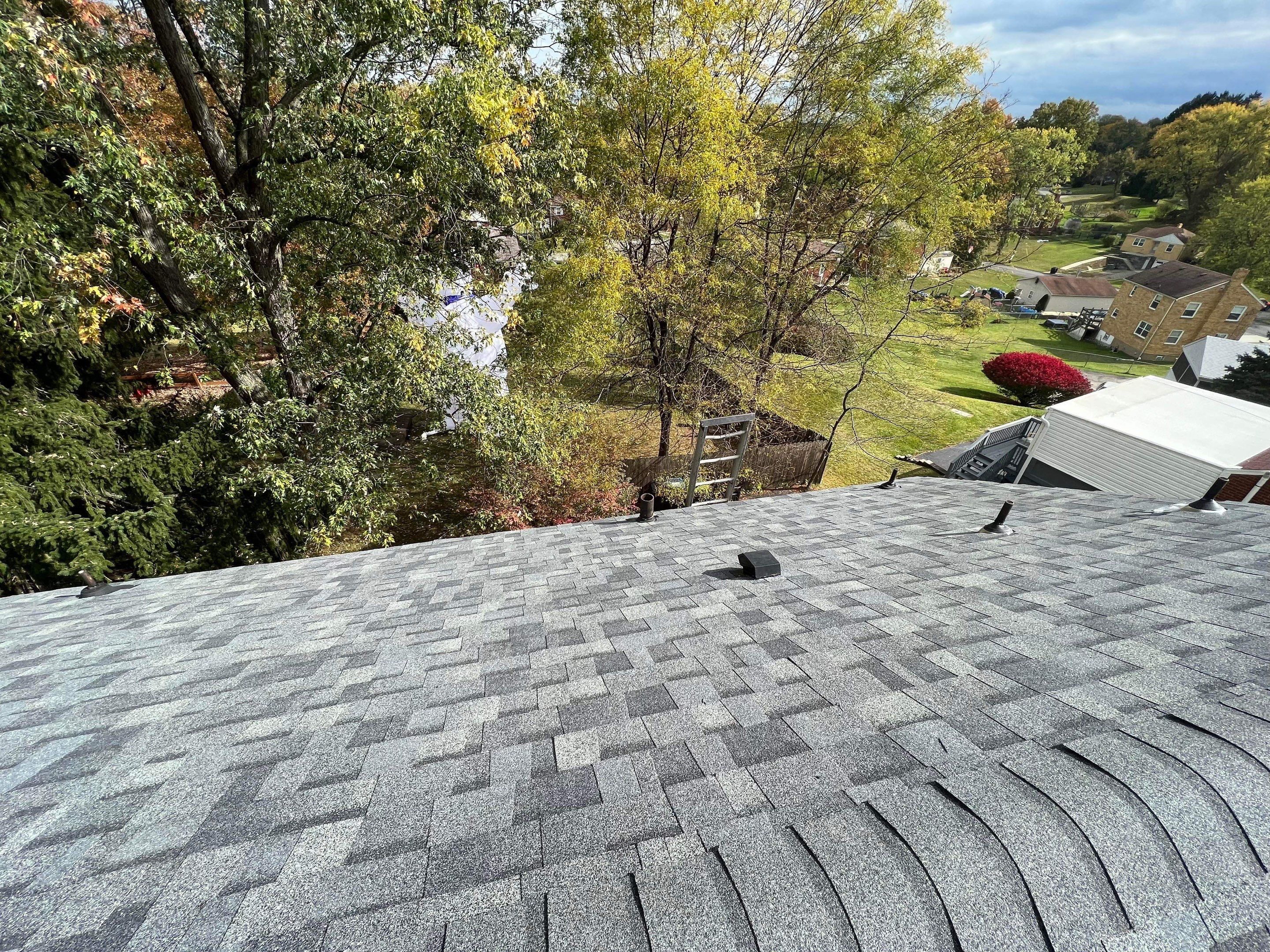 Silver Birch Shingles by Reimagine Roofing