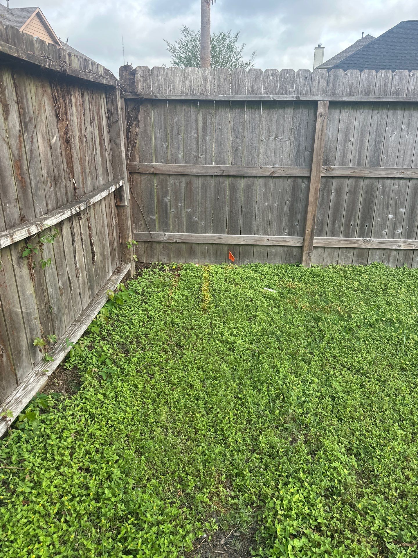 Wood fence with alternating panels by Tim's Fences