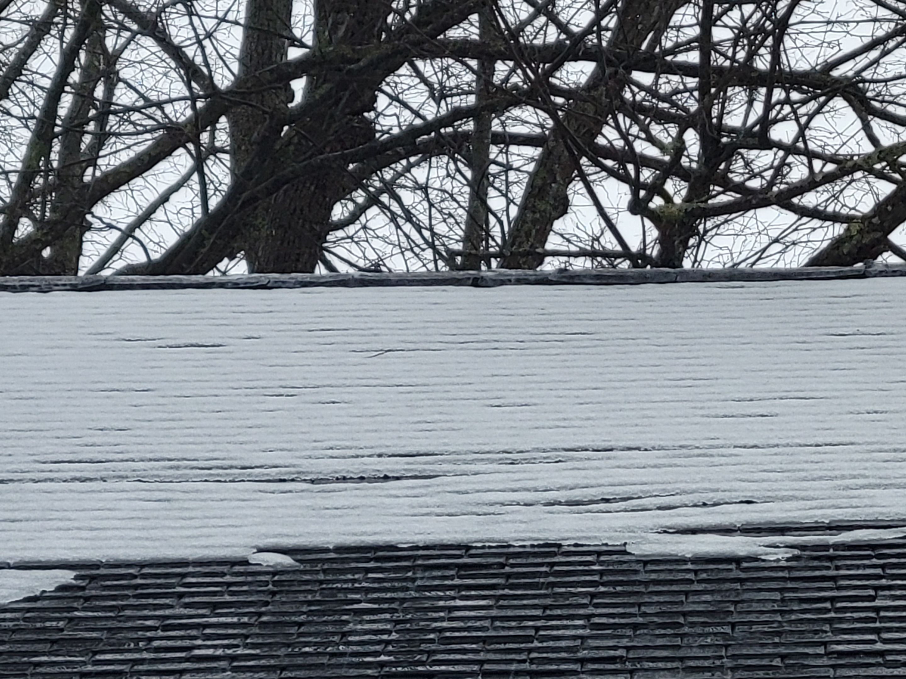 Slate Roof Repair using All Natrual Slate Tiles by The B.A.R Roofing