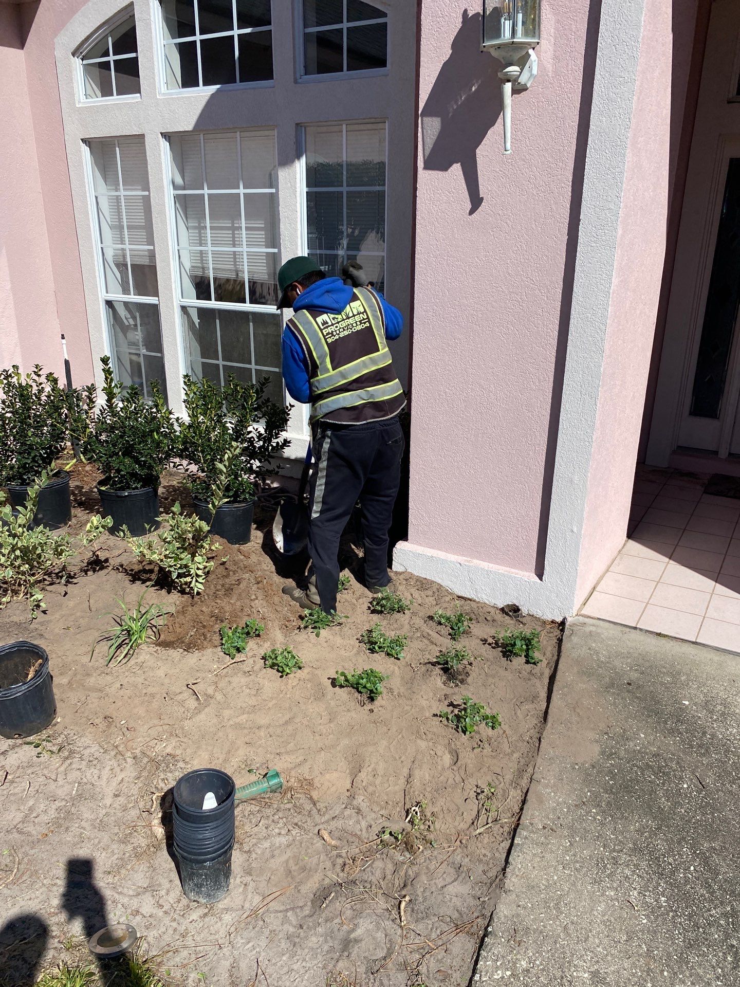 Deerwood Resident | Tree Removal & Clean-Up by ProGreen Services