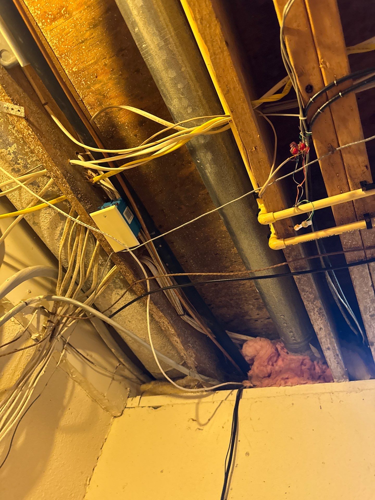 Project in Novi by EzDry Water Mitigation & Property Restoration