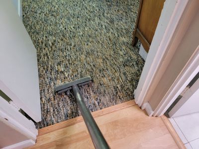 Multi-color and Patterned Looped Carpet Clean