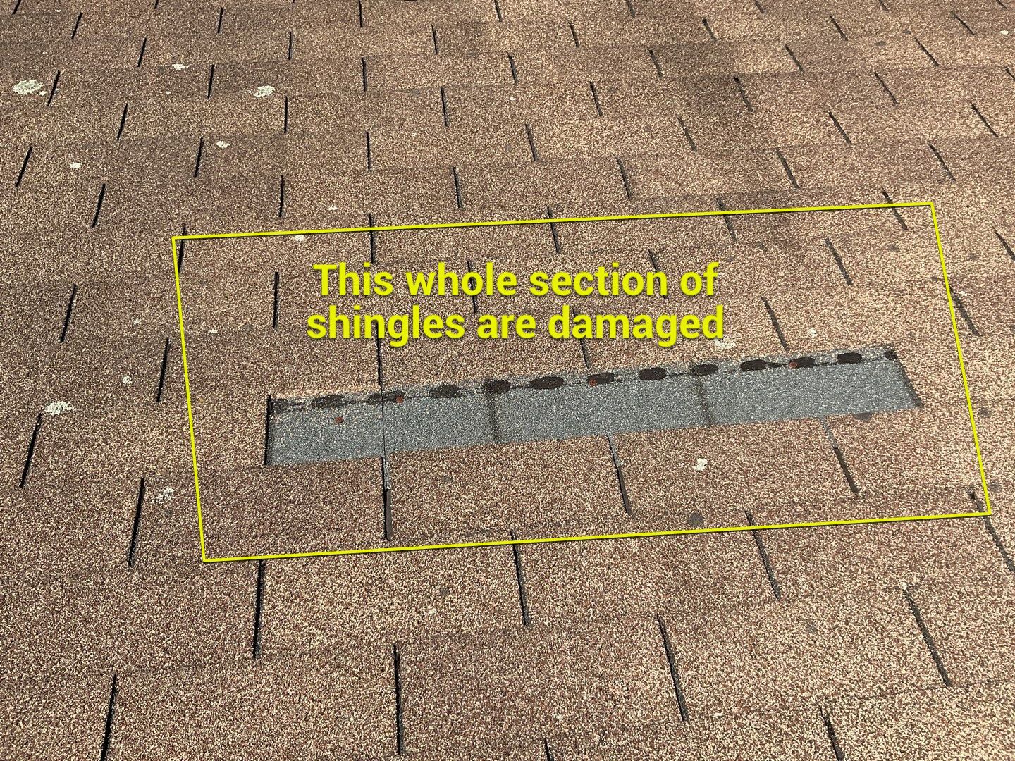 Residential Roofing Repair using 3 Tap Shingles by Alpha Design Services
