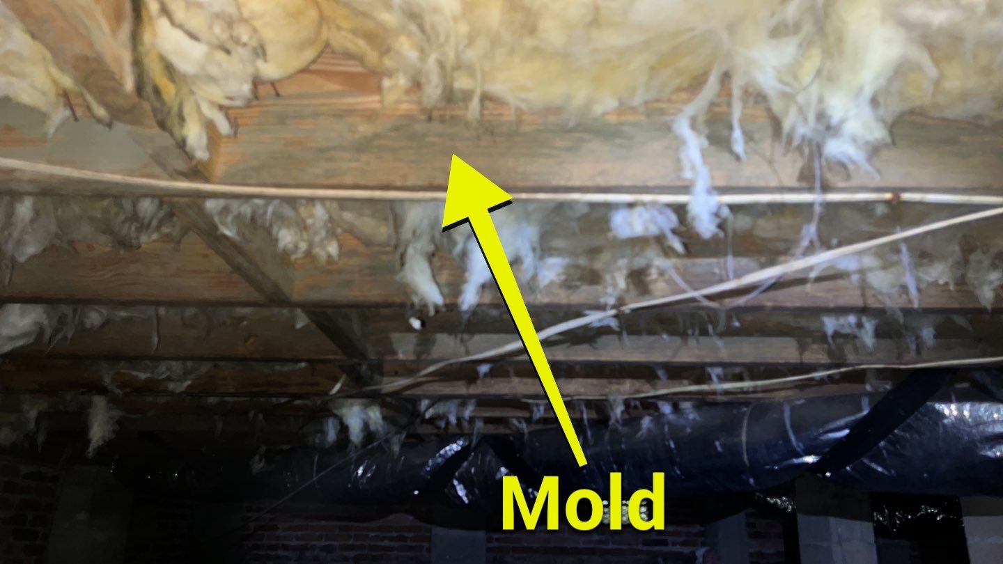 Impact Choice Encapsulation using YCS Pro Cleaner by Impact Crawlspace
