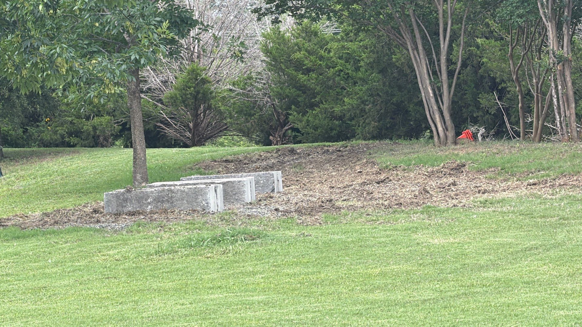 The Lion and the Lamb Apiary by Rockwall Honey Bee Company