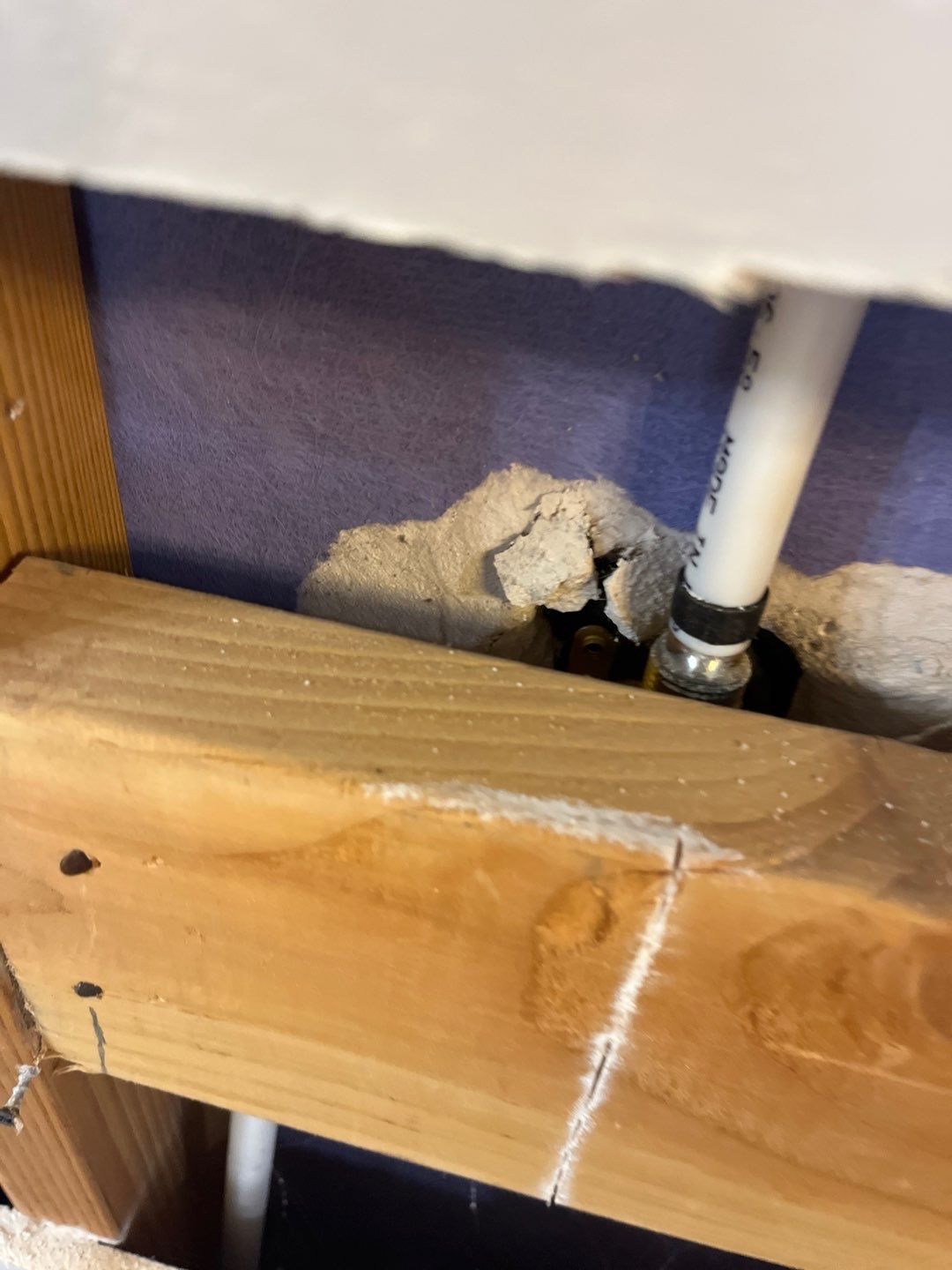 Project in Edmond by PRO-ROOTER