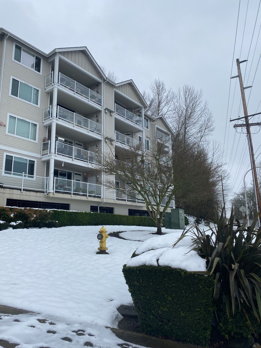 Condo complex on Lake Washington in Newcastle, WA needed a new roof by RoofSmart