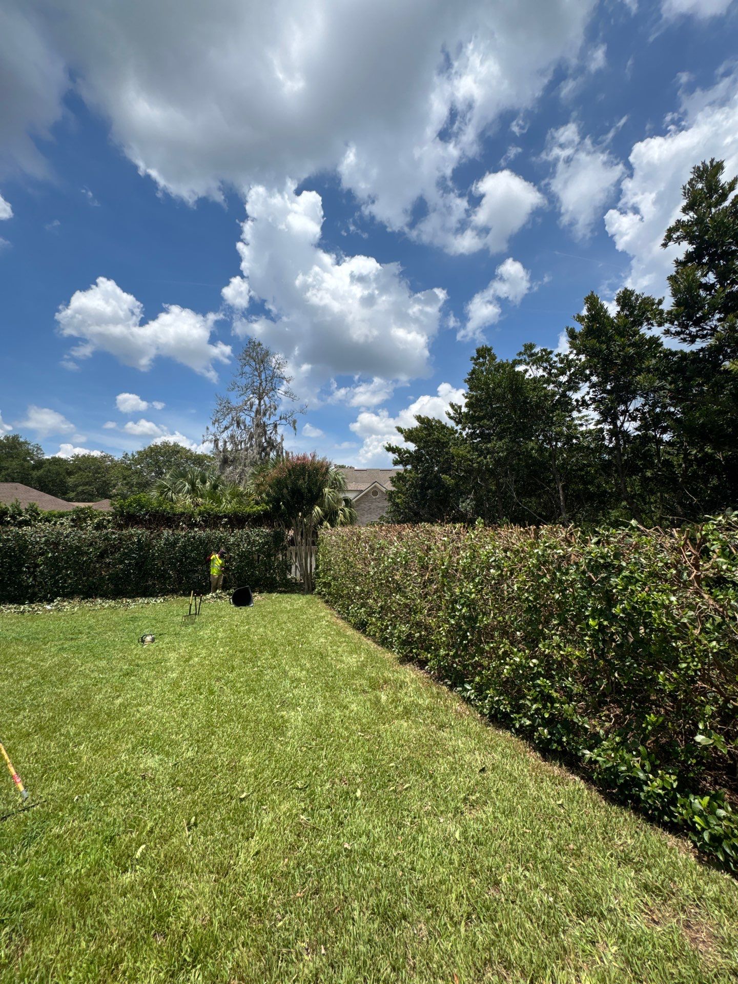 Deerwood Resident | Shrub Trimming by ProGreen Services