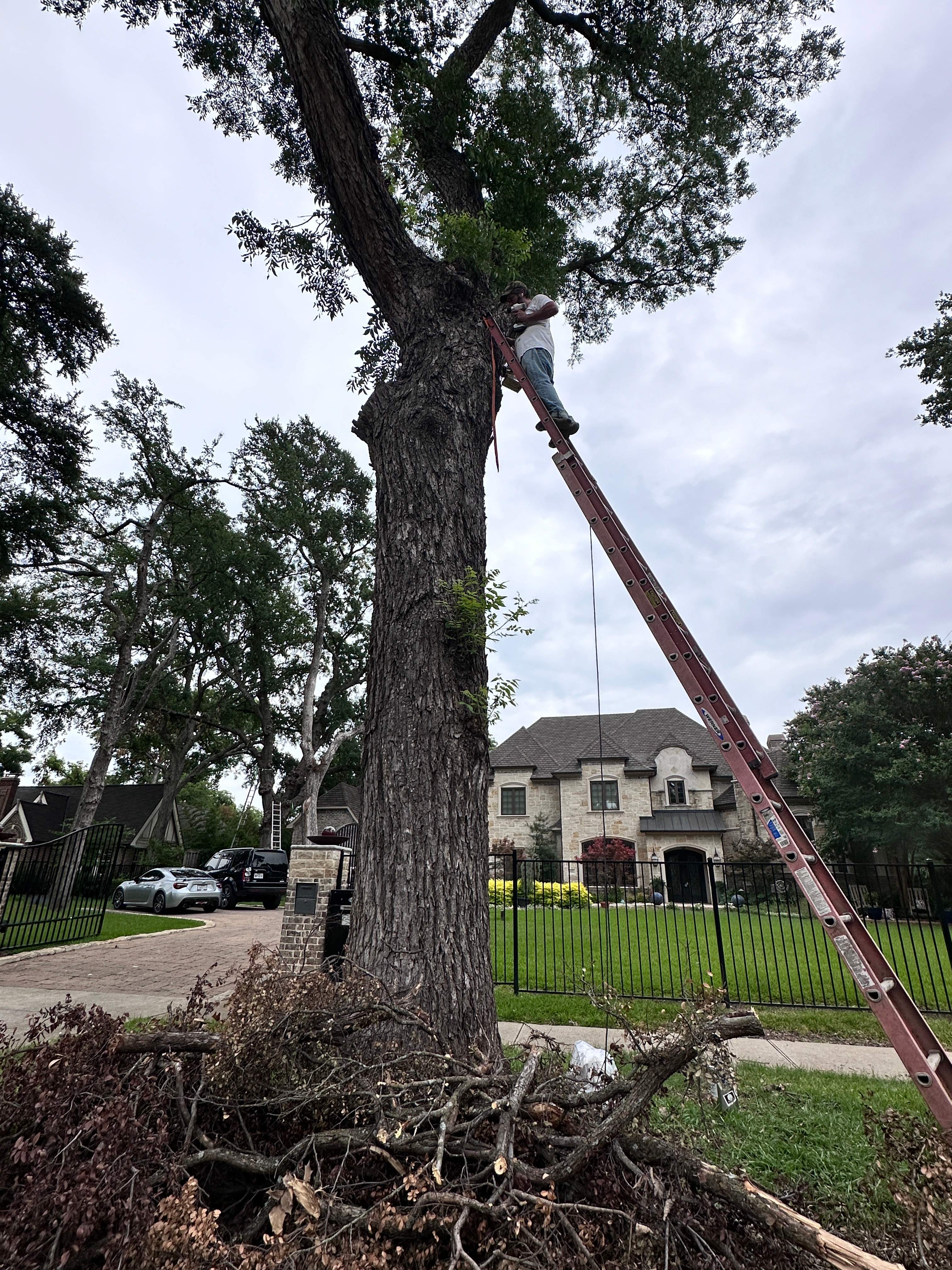 Smile! by Rockwall Honey Bee Company