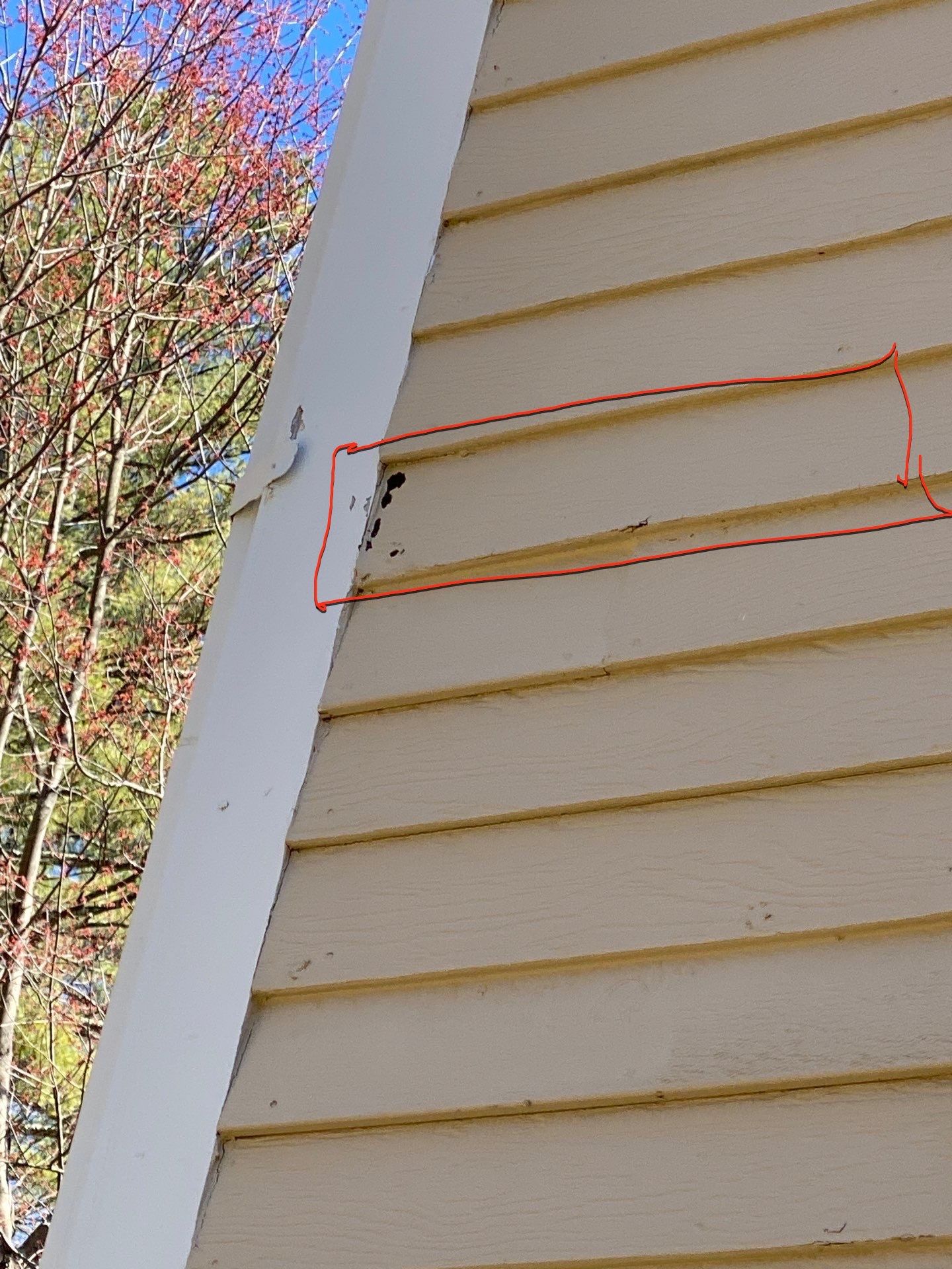 Siding | Andover by Mighty Dog Roofing of Greater Middlesex County
