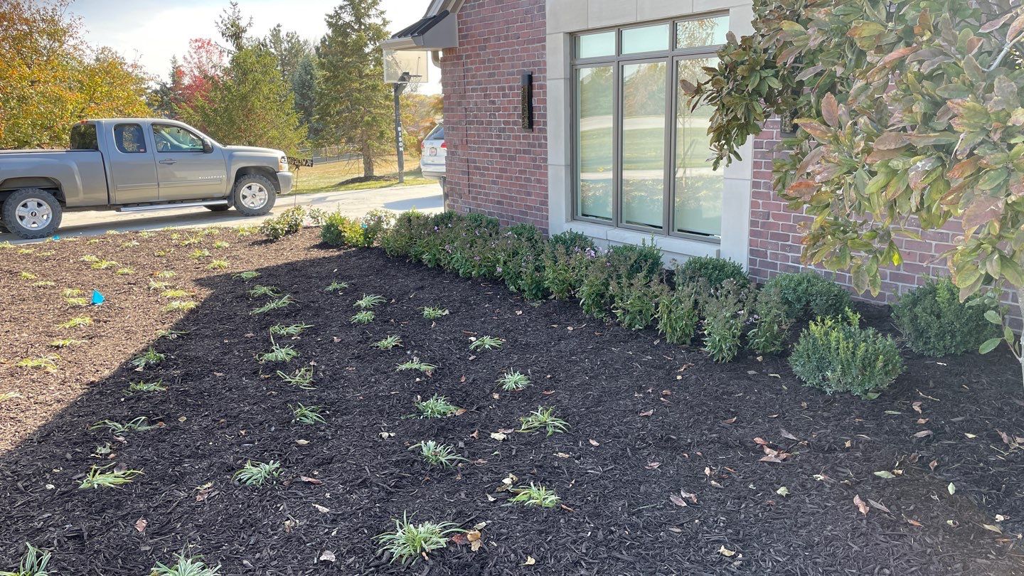 Landscape Bed Updates.  by New Horizon Landscapes
