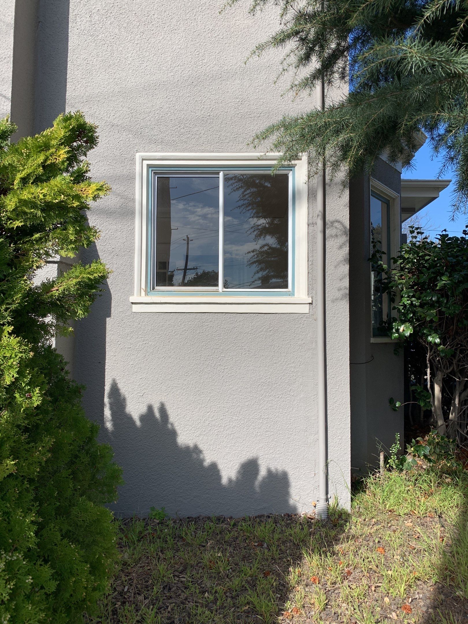 Bloom Team — 6005 Hillegas Ave by SpotFree Window Cleaning