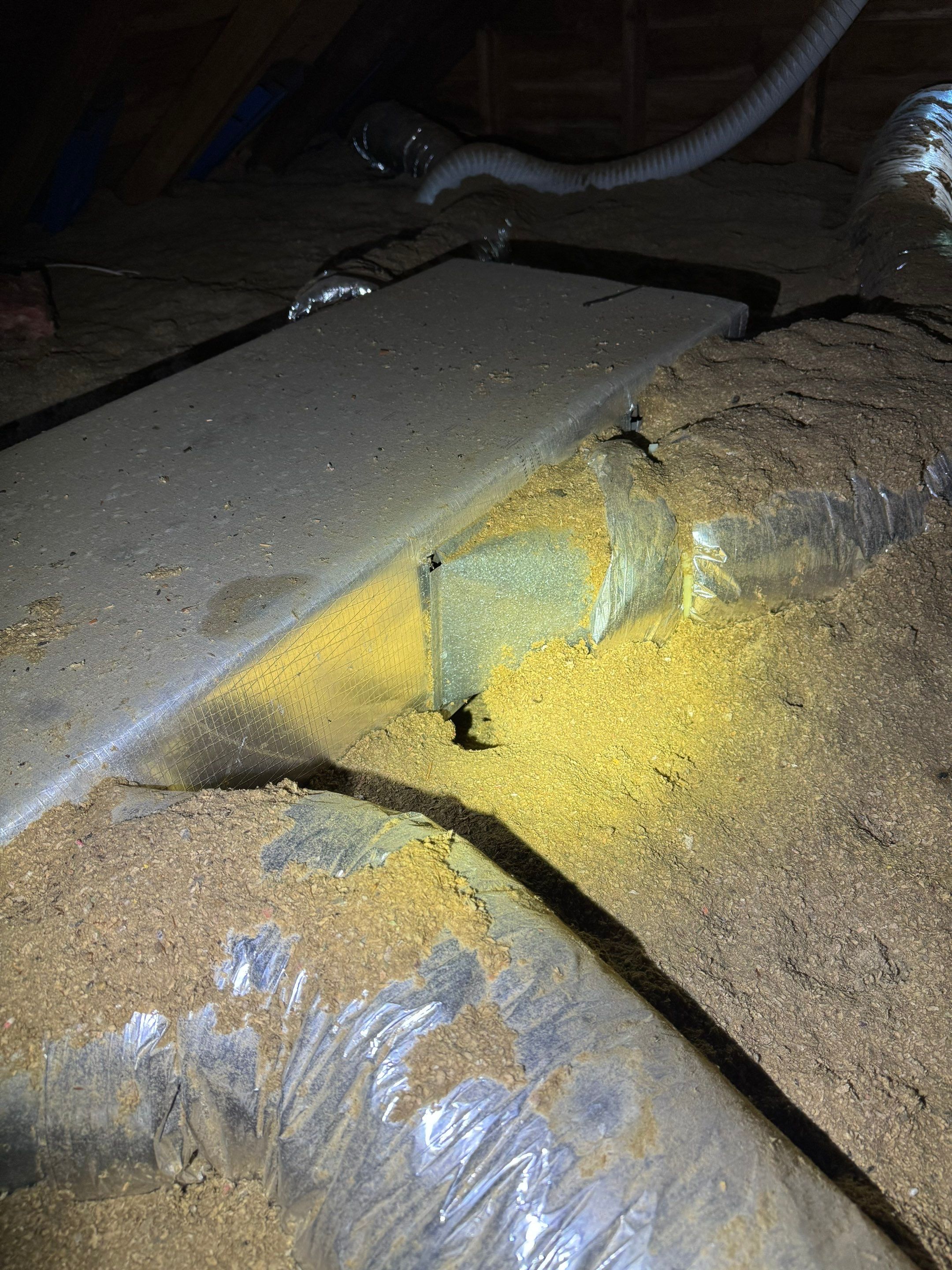 Mold Remediation (Basement) using Home Guarantee by Home Guarantee, LLC