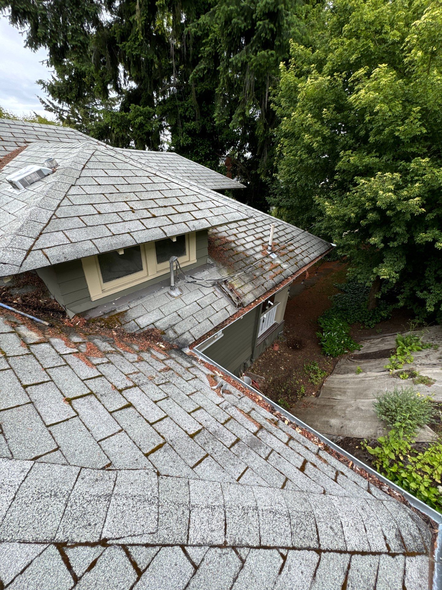 Project in Seattle by Peaks and Valleys Construction