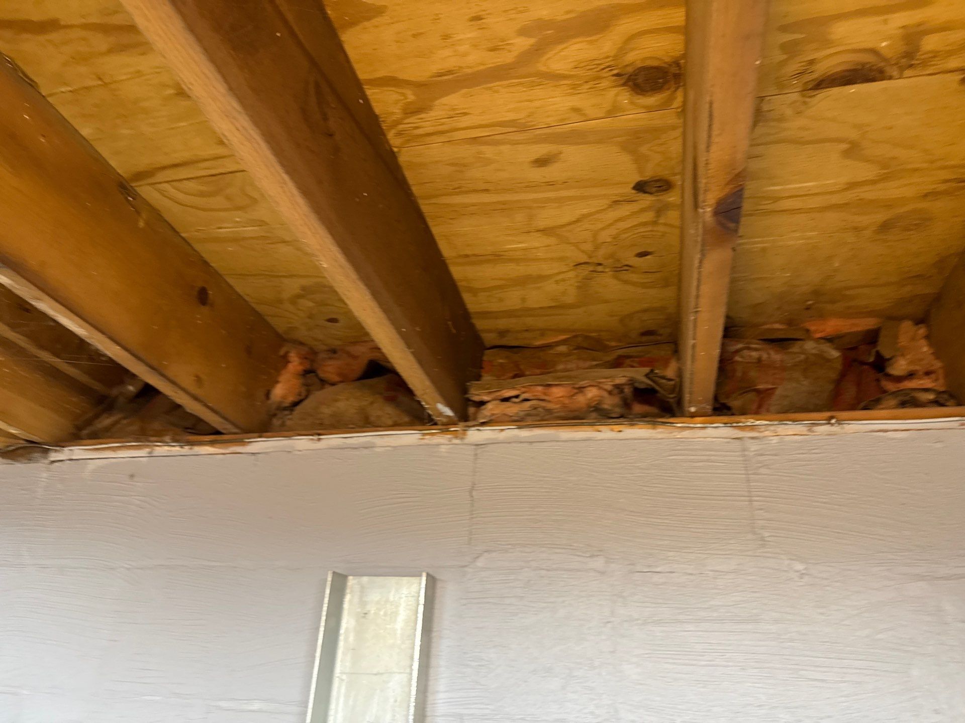 Rodent clean up and sanitation in Pittsburgh, PA 15237 by Home Environment Solutions