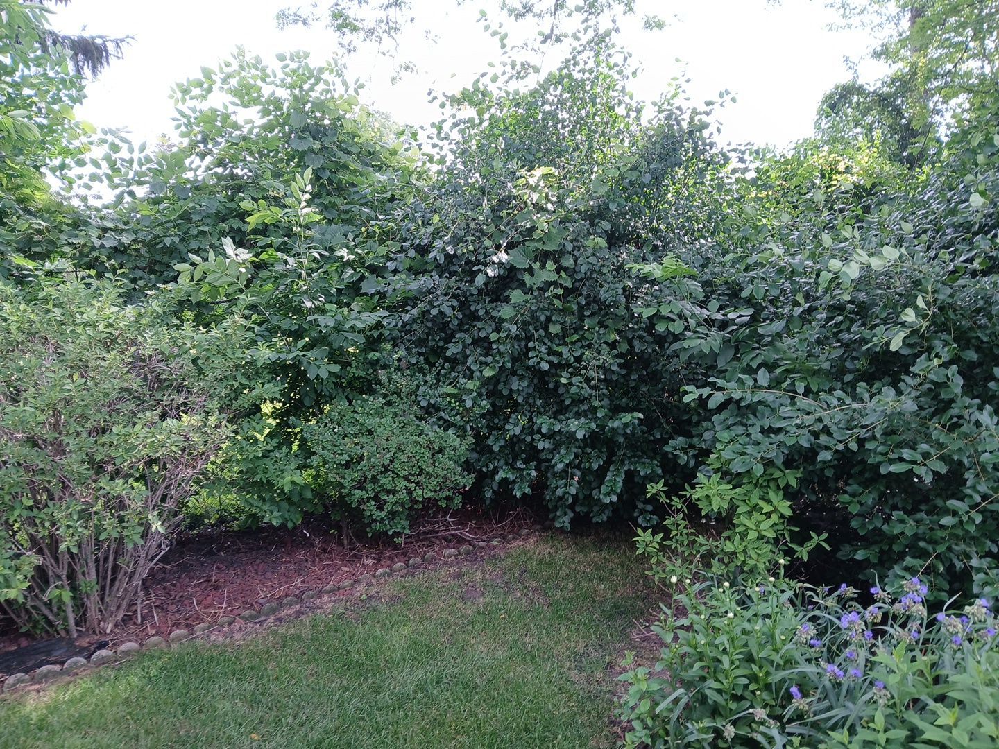Andrew L. - Arlington Heights, IL by A&N