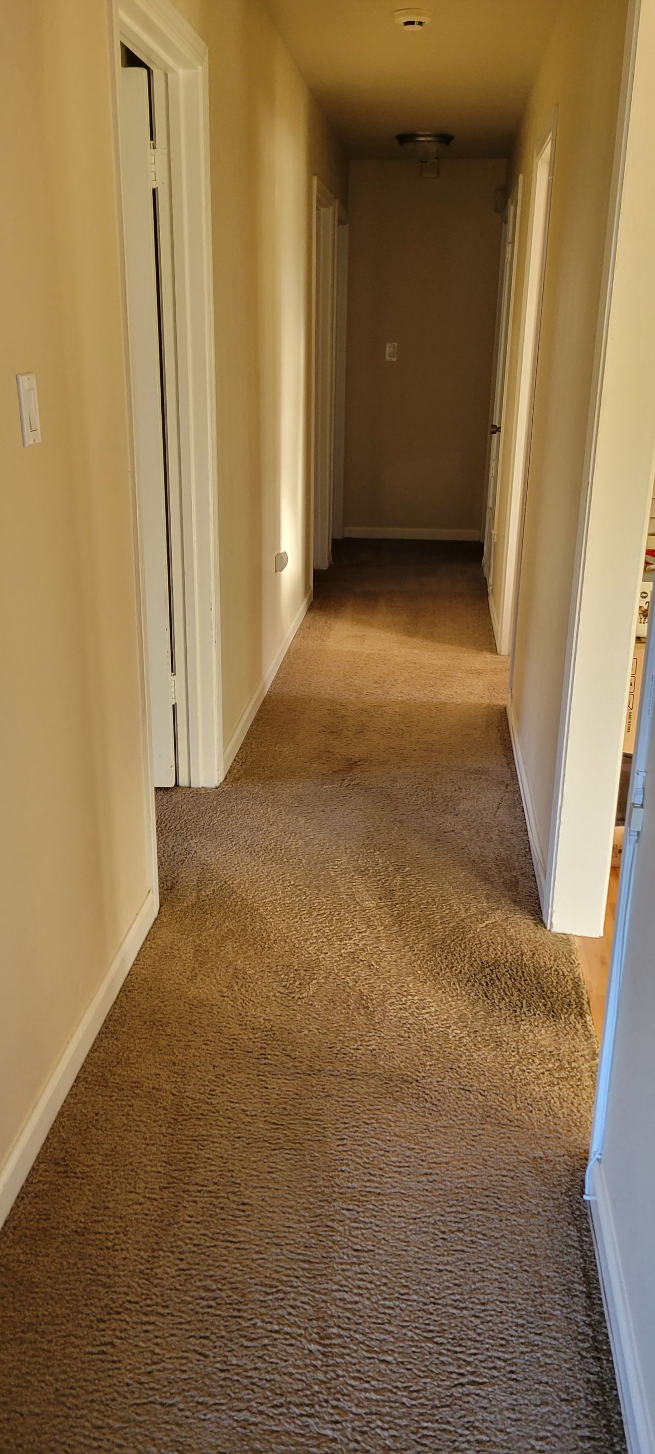 Fixing Carpet Wrinkles in a Hallway by Ardent Carpet Restore LLC