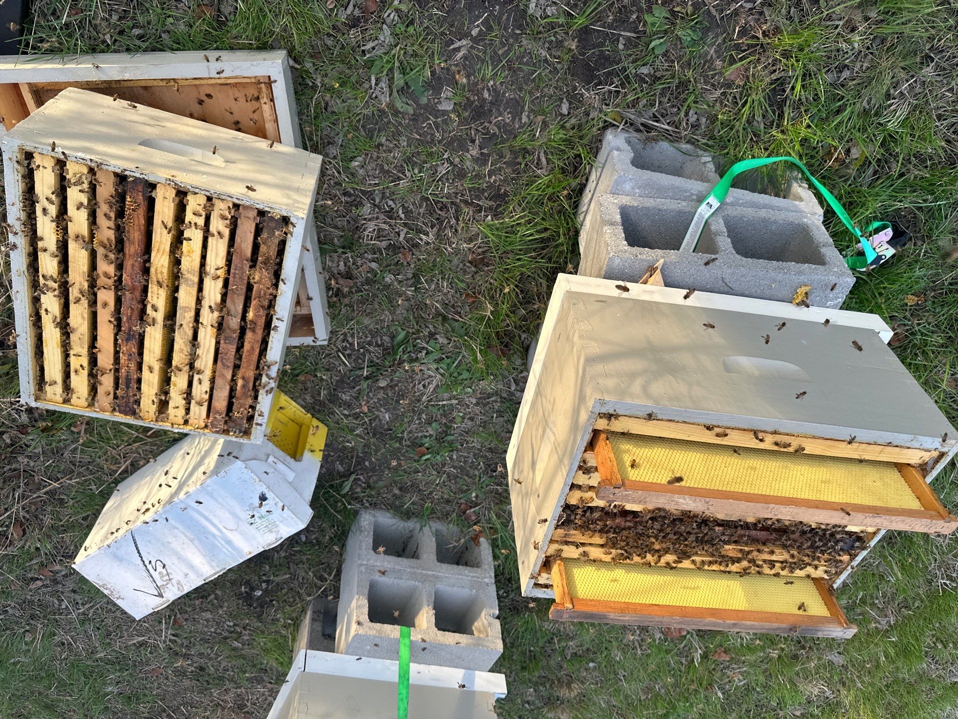 Honey-Maker Apiary in Greenville by Rockwall Honey Bee Company