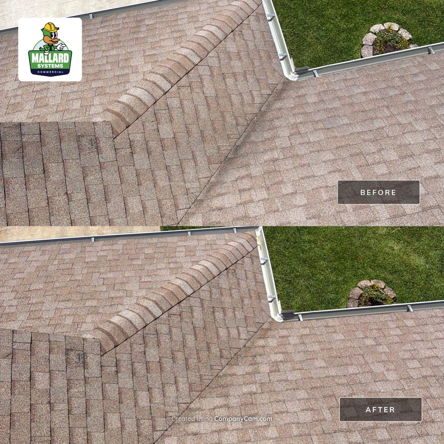 Shingle Roof Cleaning in Hunters Creek, Orlando by Mallard Systems