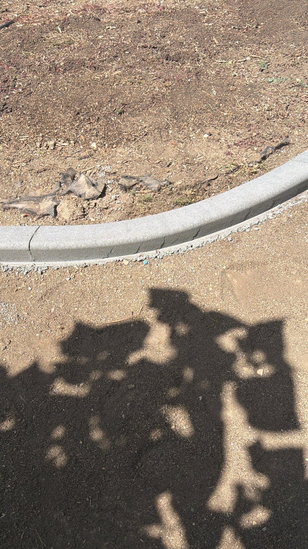 Project in Loveland, CO by Tristar Landscapes