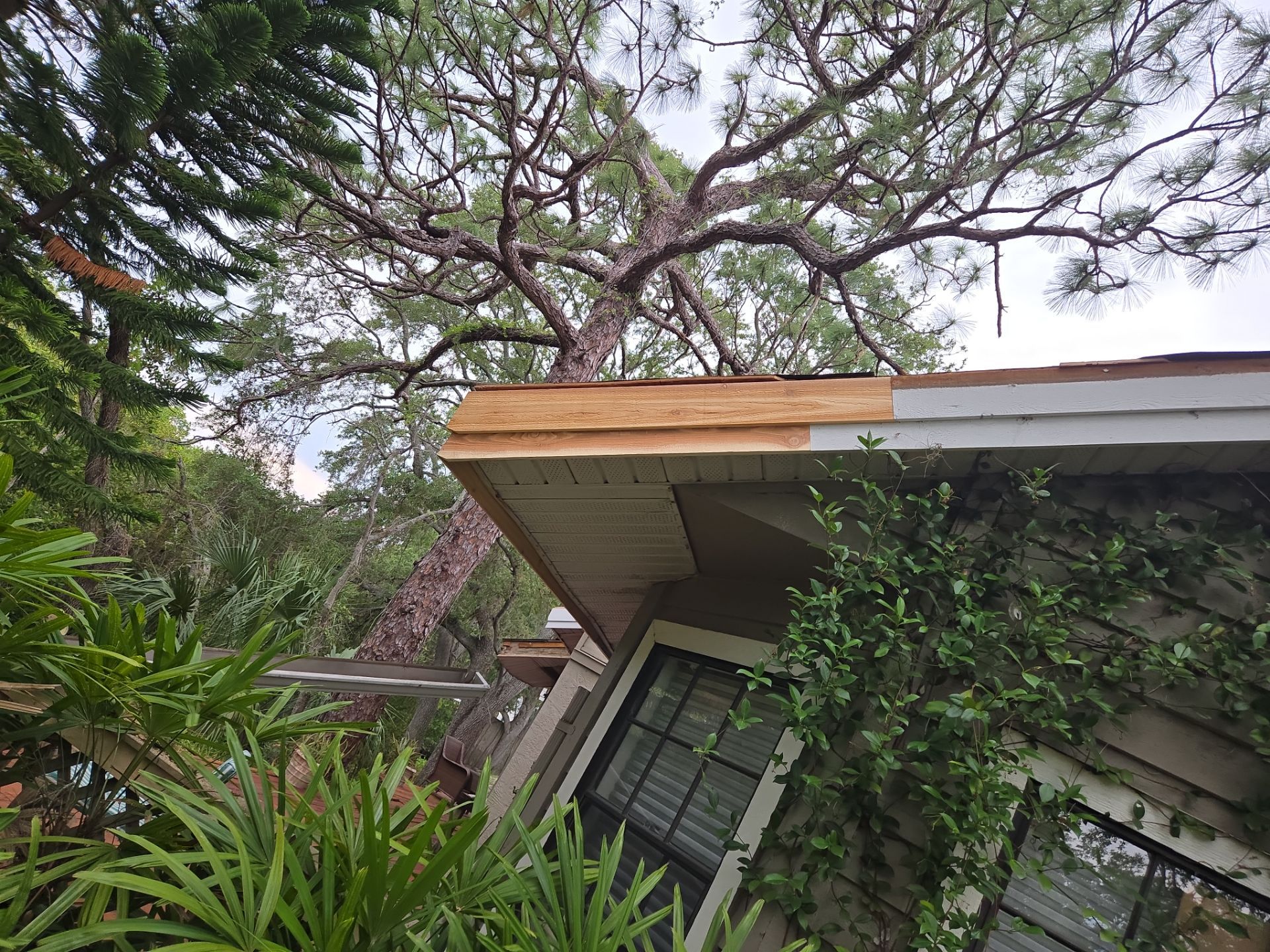 Project in Clearwater 33760 by Mitchell Roofing Company LLC 