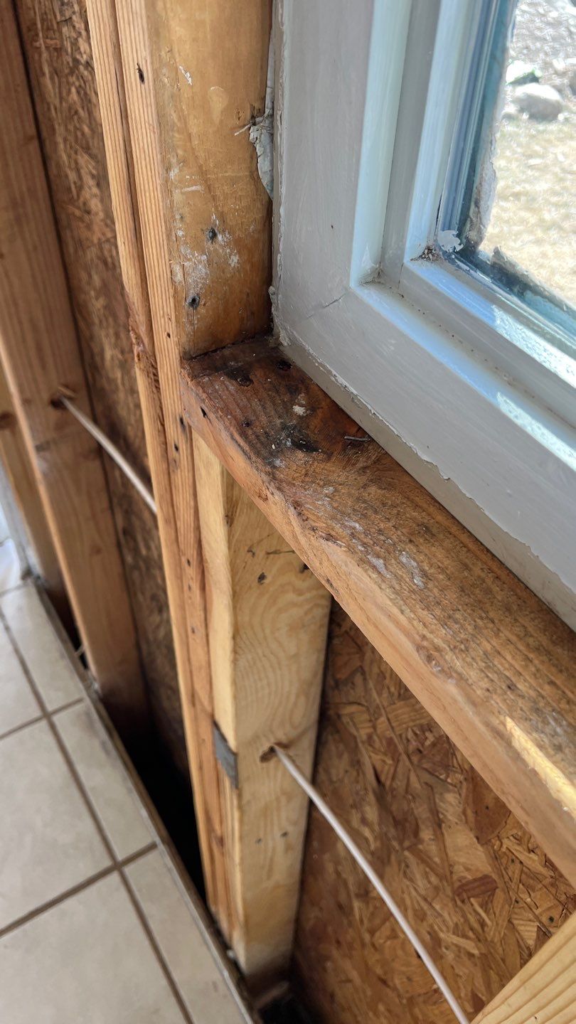 Mold Remediation  by Accountable Home Services