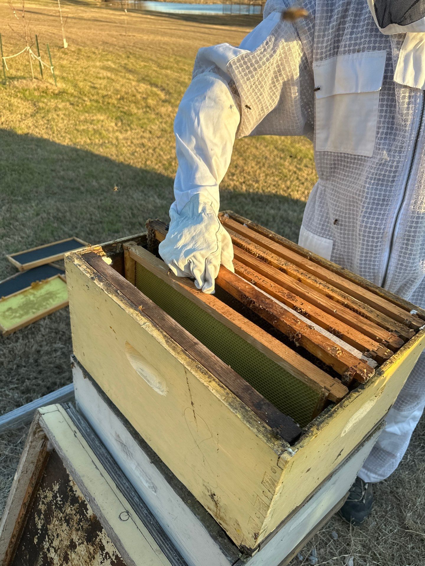 Another client in Heath using bees for Ag. Exemption by Rockwall Honey Bee Company