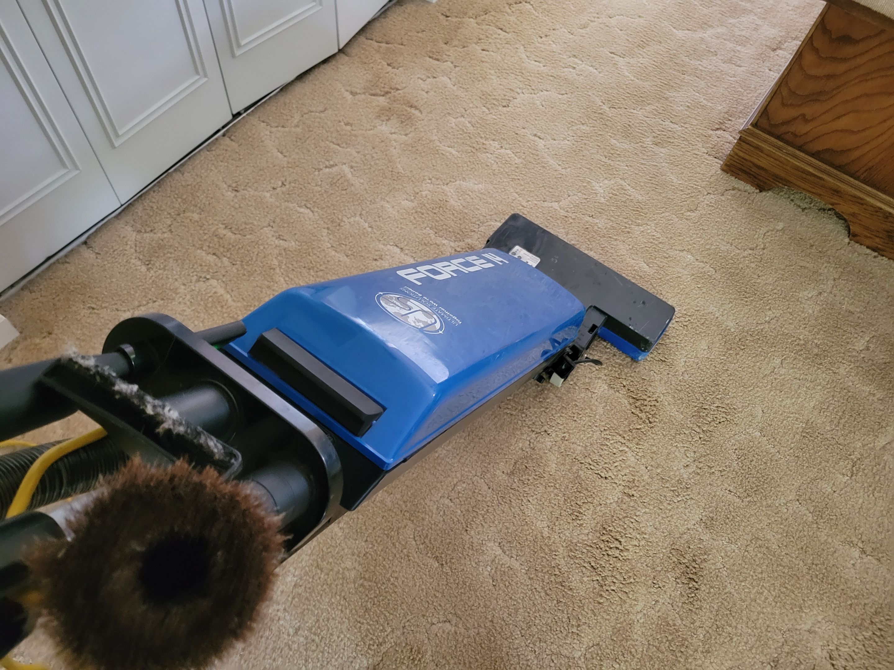 Carpet Cleaning and Chair Cleaning by Ardent Carpet Restore LLC