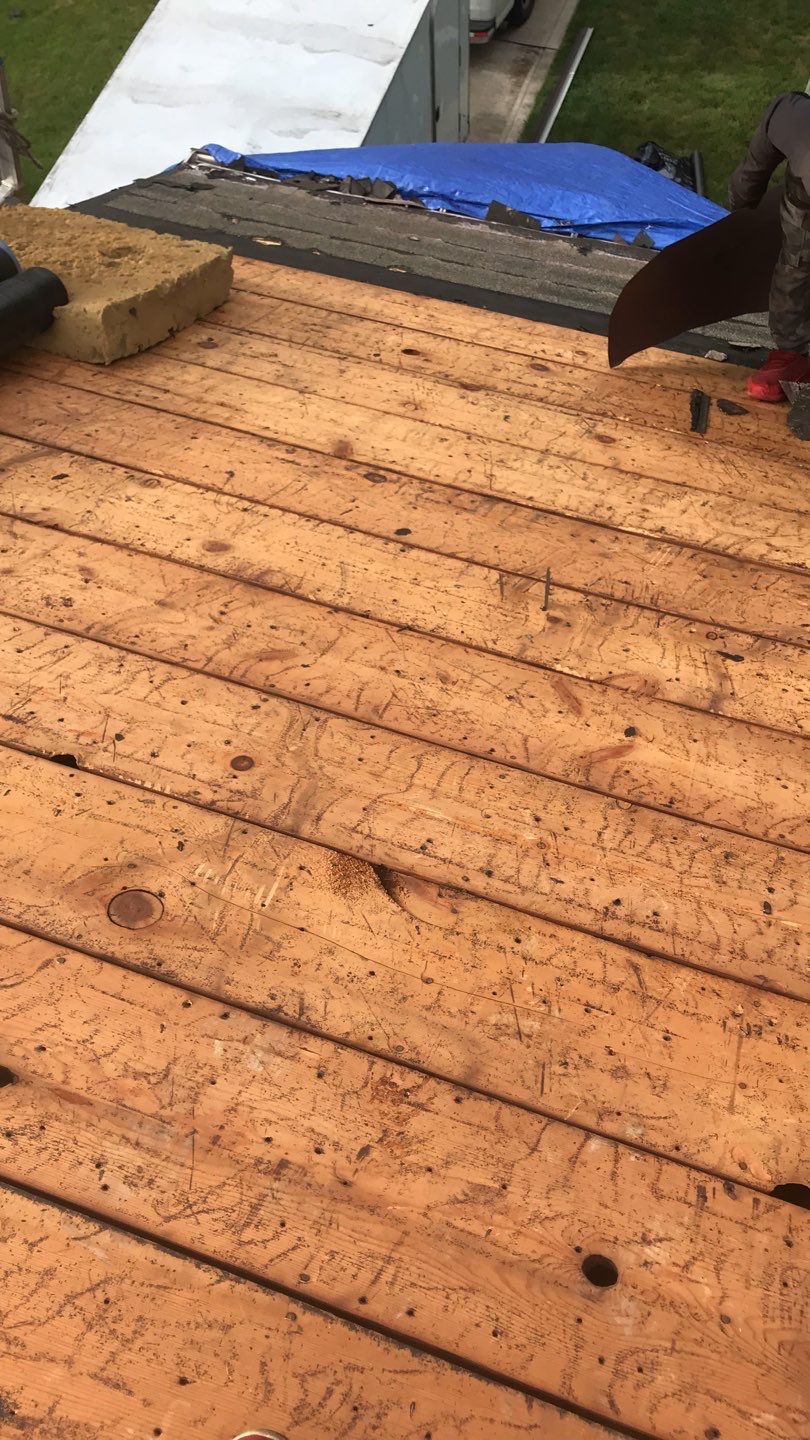Residential Roof Replacement using Owens Corning Duration, Colonial Slate by Absolute Roofing and Construction