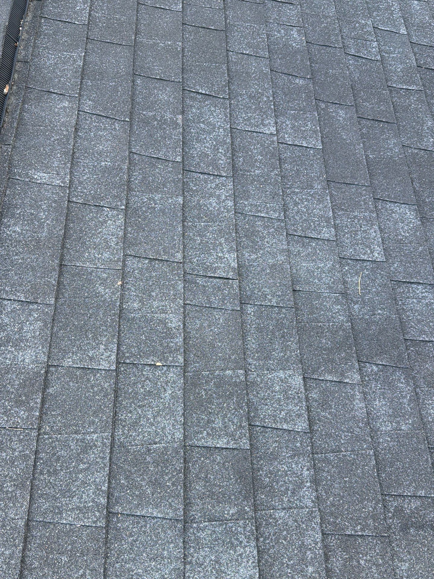 Susan Collins by United Contracting and Roofing