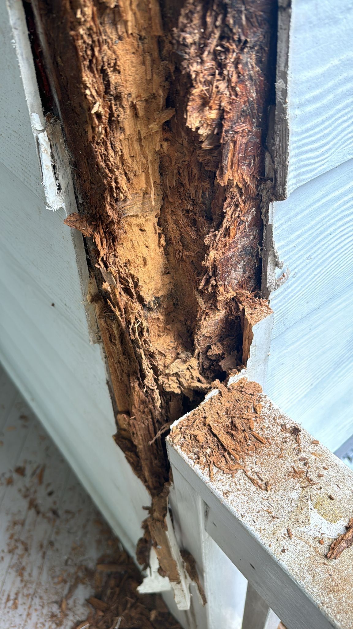 Exterior Transformation by GonzalezPainters & Contractors Inc 