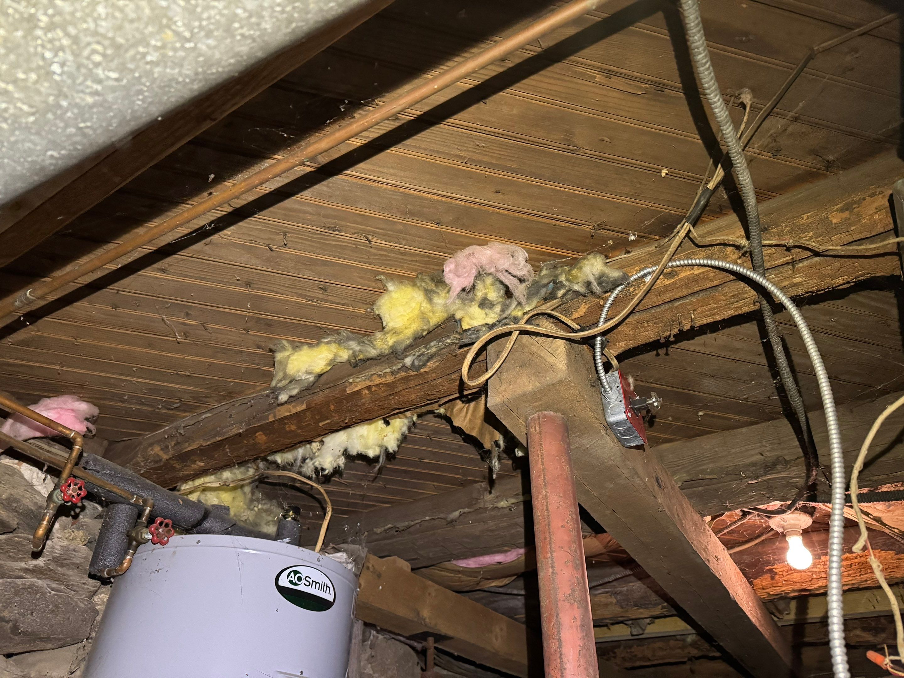 Mold Remediation (Basement) using Home Guarantee by Home Guarantee, LLC
