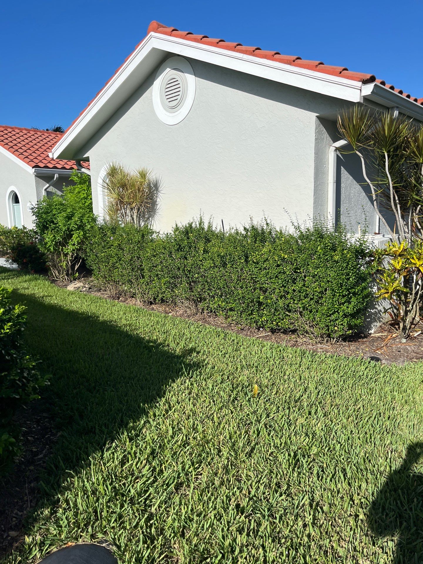 🌴 “Harbour Ridge Haven – A Tropical Revival by Alpha Zeta Landscapes” by Alpha Zeta Enterprises Inc