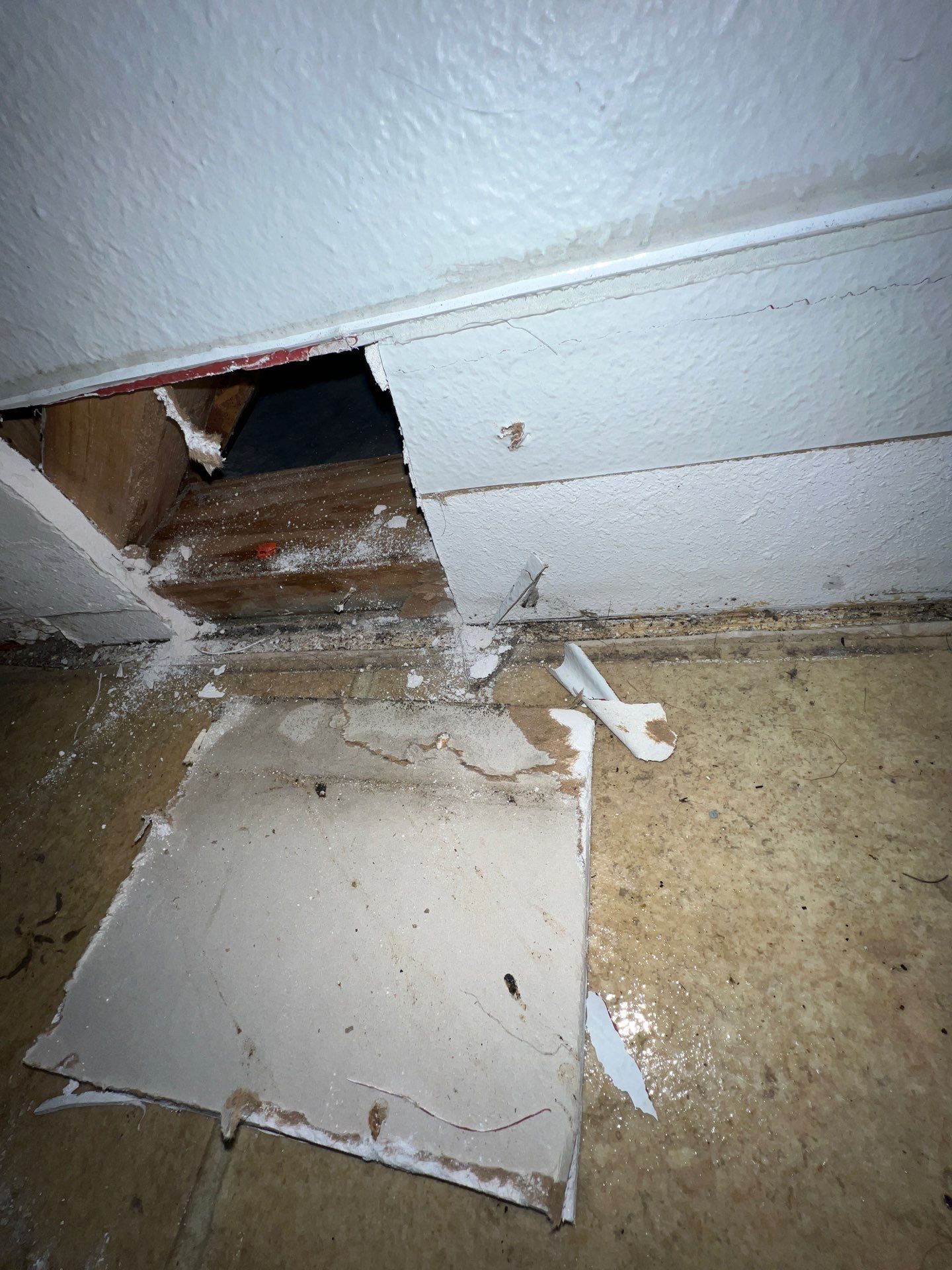 Stansell - water and mold photos  by THE RAPID TEAM