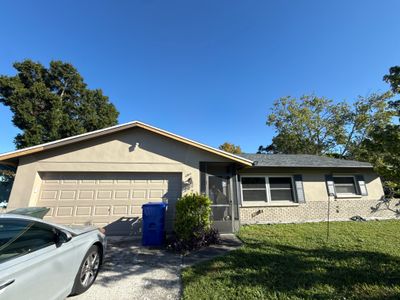 Project in Dunedin 34698