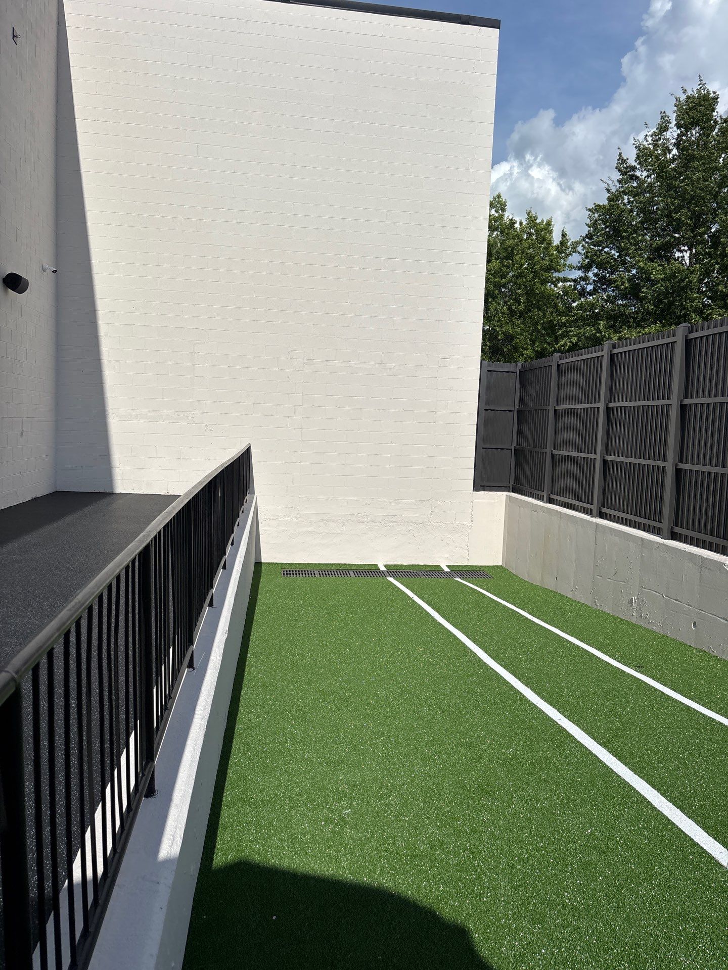 Ashburn One Life - exterior turf  by Nova HomeWorks 