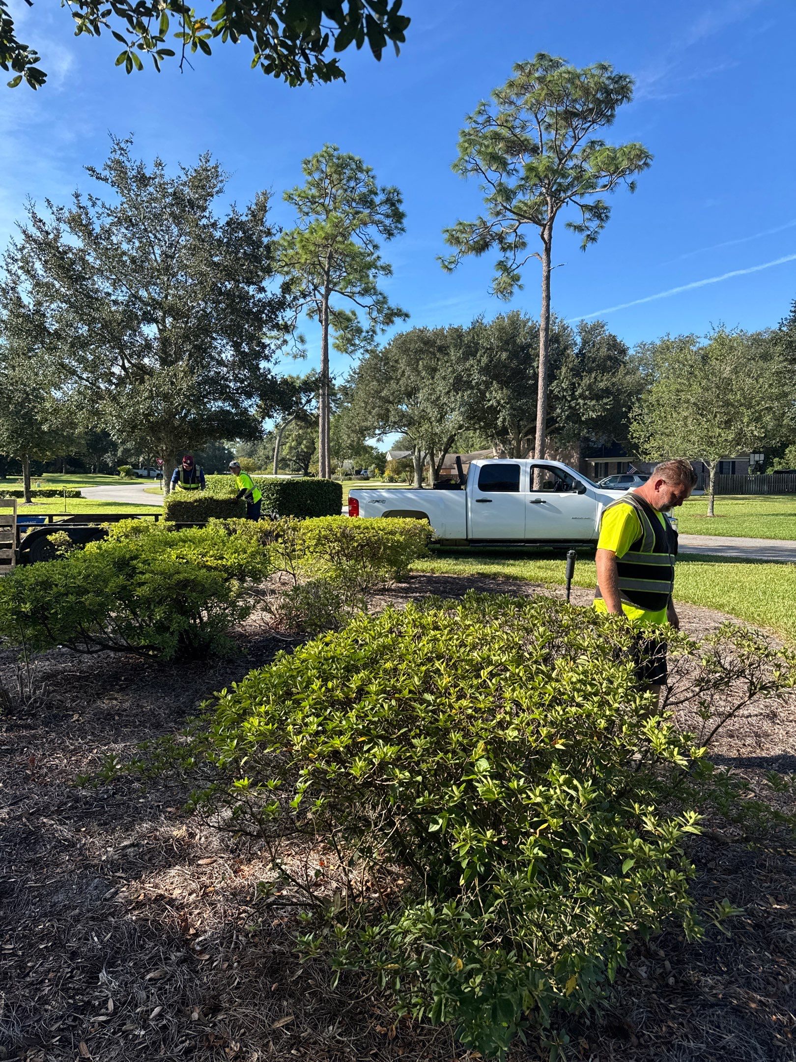 Deerwood Community | Island Landscape Replacement by ProGreen Services