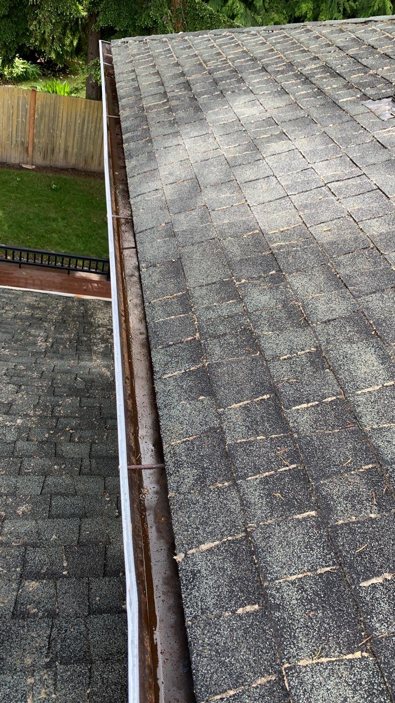 Softwashed in many Years back, and organic regrowth significant by DawnSky LLC