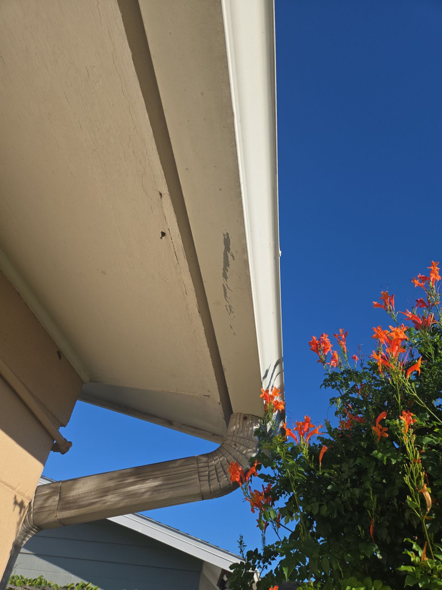 Project in Largo 33778 by Mitchell Roofing Company LLC