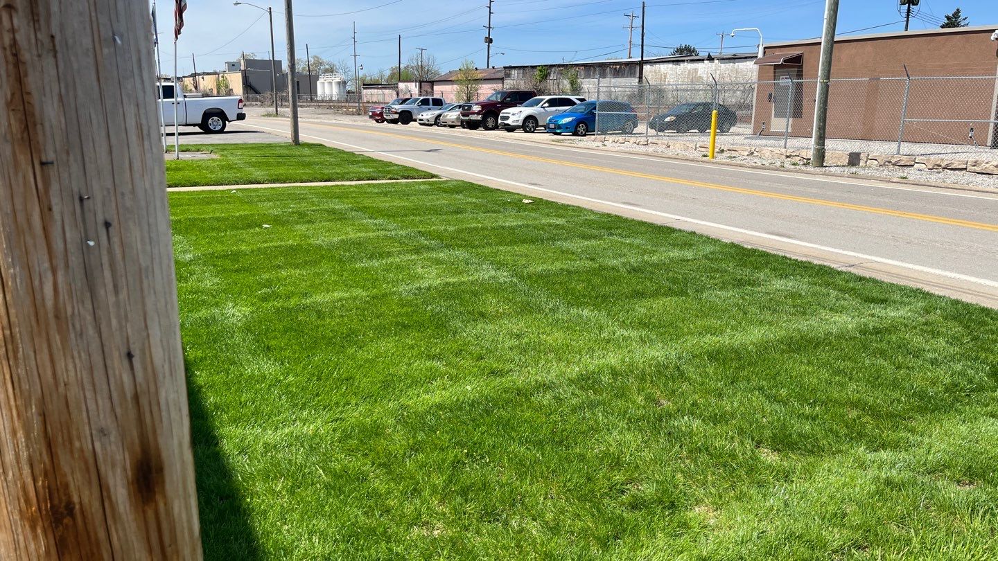 Full service mow and fertilizer before and after treatments using Fertilizer/Lime/and Mowing by GrassBusters, Inc.