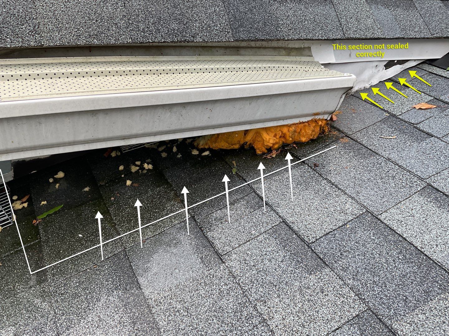 Exterior Damage using G8 Metal Trim coil by Alpha Design Services
