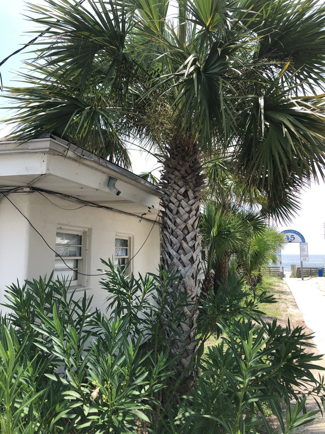 Gutter Installation using K-Style Seamless Gutters by Gutter Professors