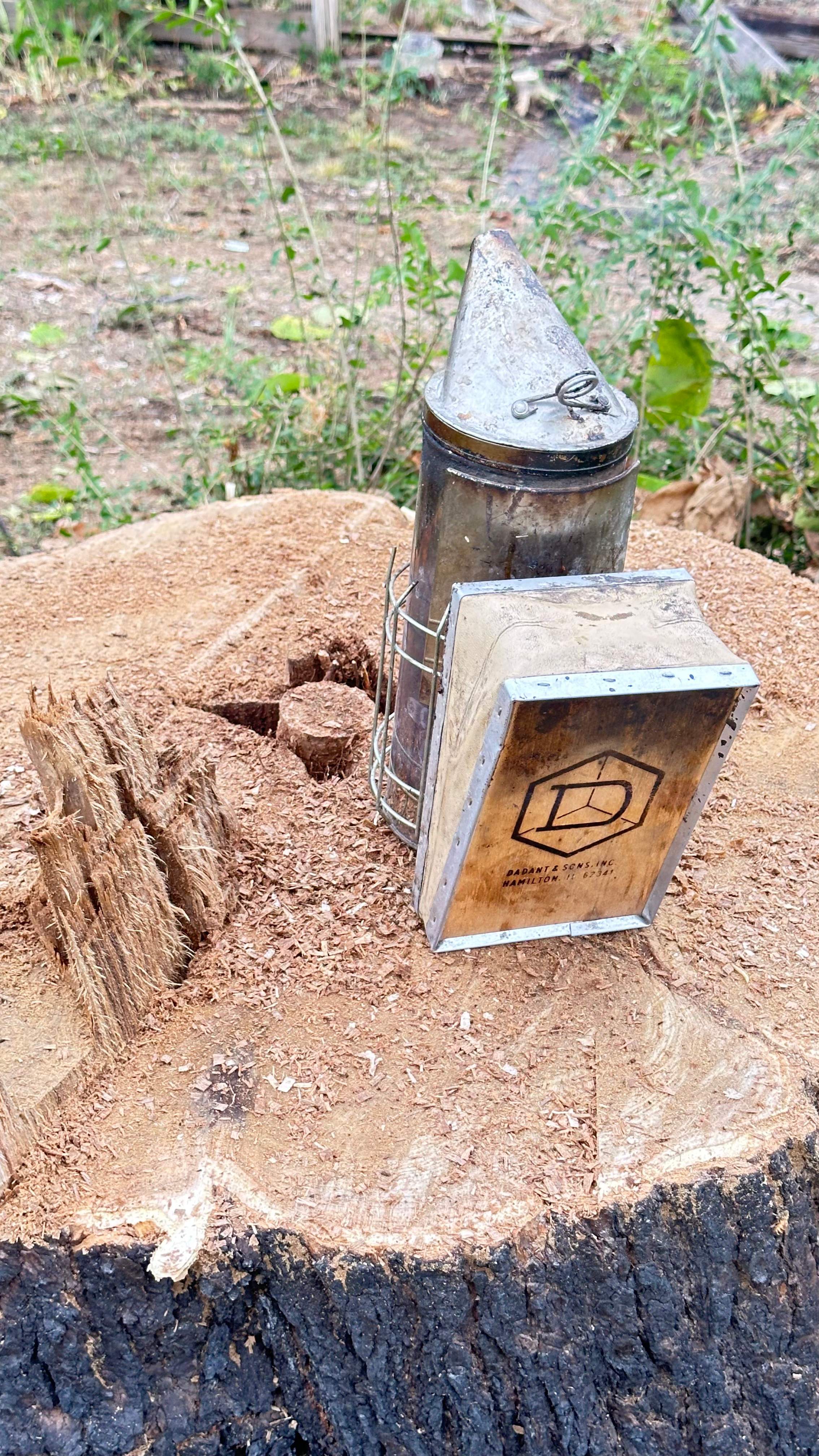 City Tree Company  by Rockwall Honey Bee Company