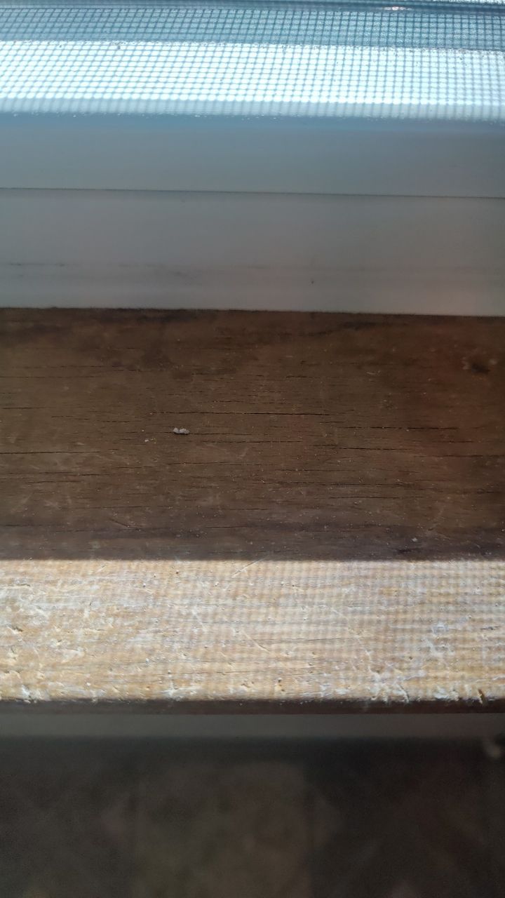 Water Damage by Accountable Home Services