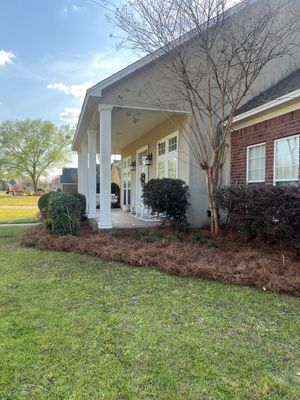 Landscaping  using Pine Straw