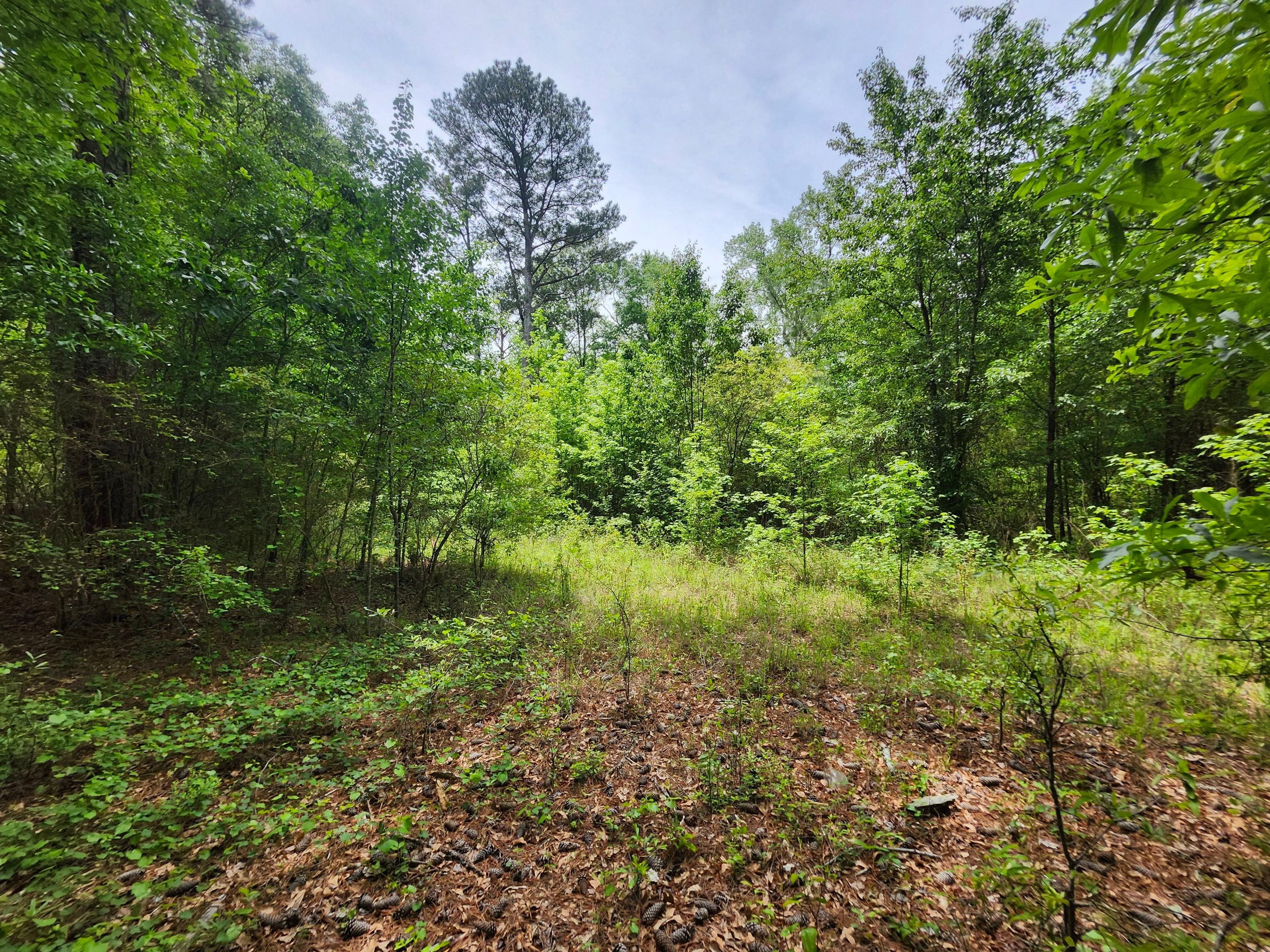 Drone Flight and Land Survey by Swift Signings and Services LLC