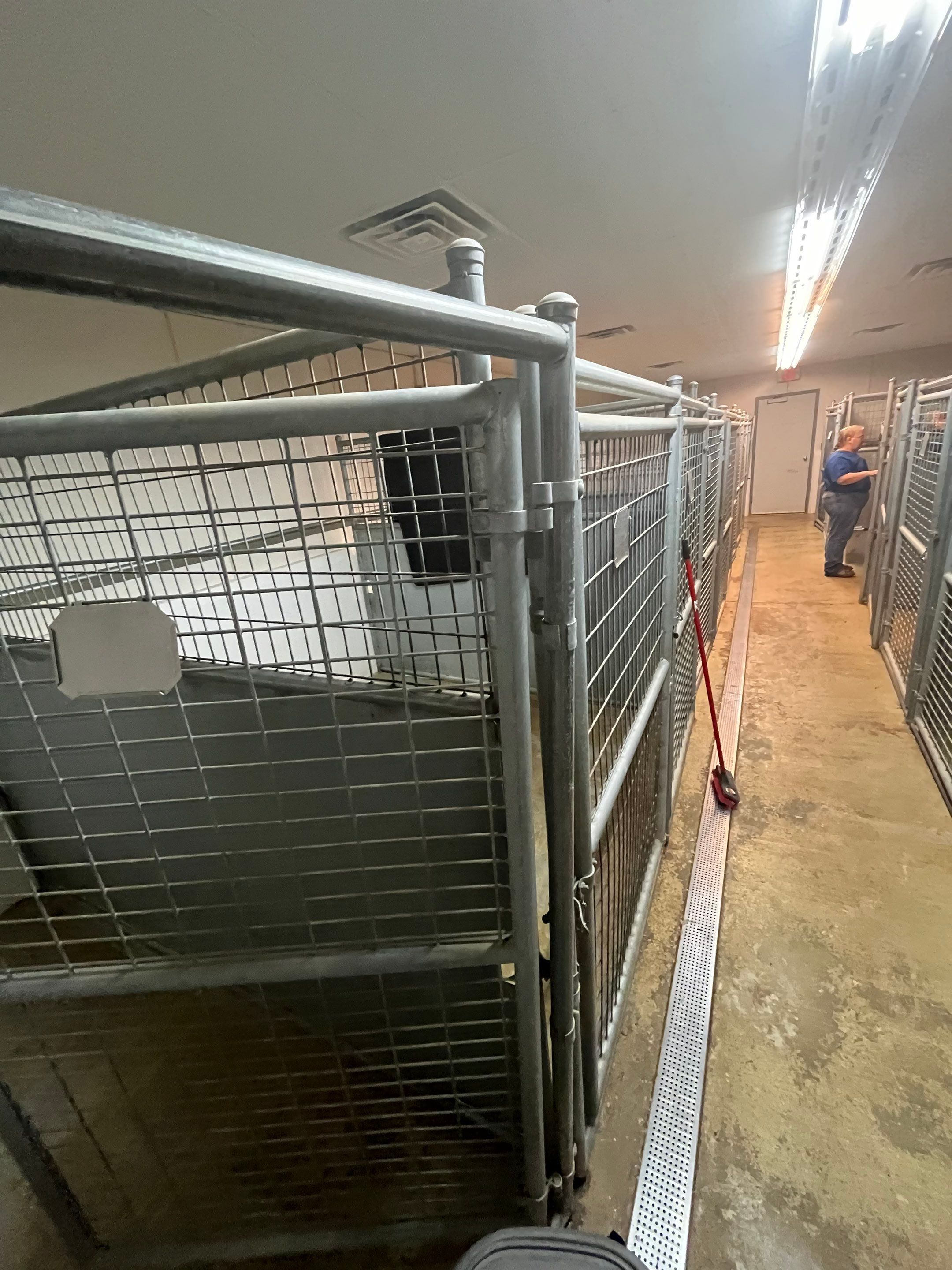 Durable Commercial Concrete Coatings for Brandon Valley Veterinary Clinic by Select Painting, Coatings & Garage Cabinets